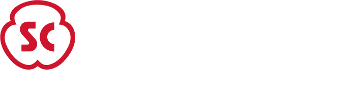 Surface Combustion